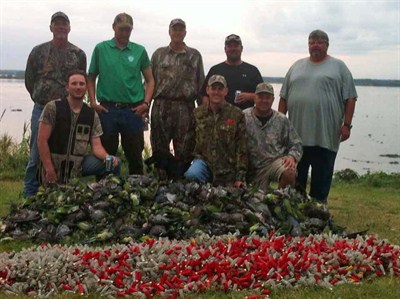 Argentina Dove Hunt 456708i